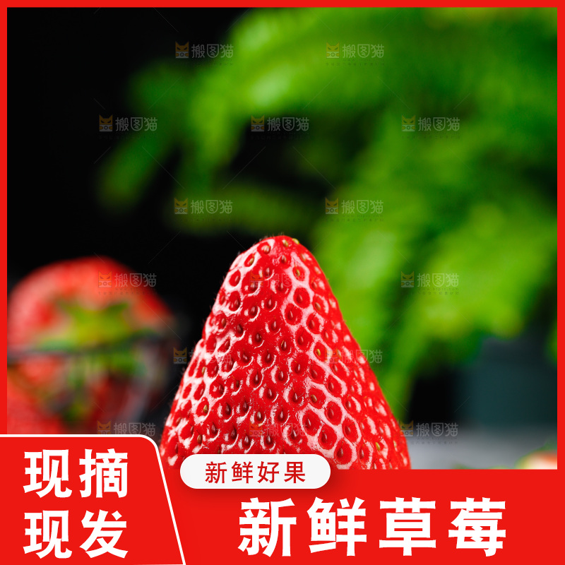 深底上的丹东草莓