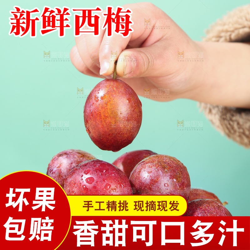 浅底上的澳洲西梅