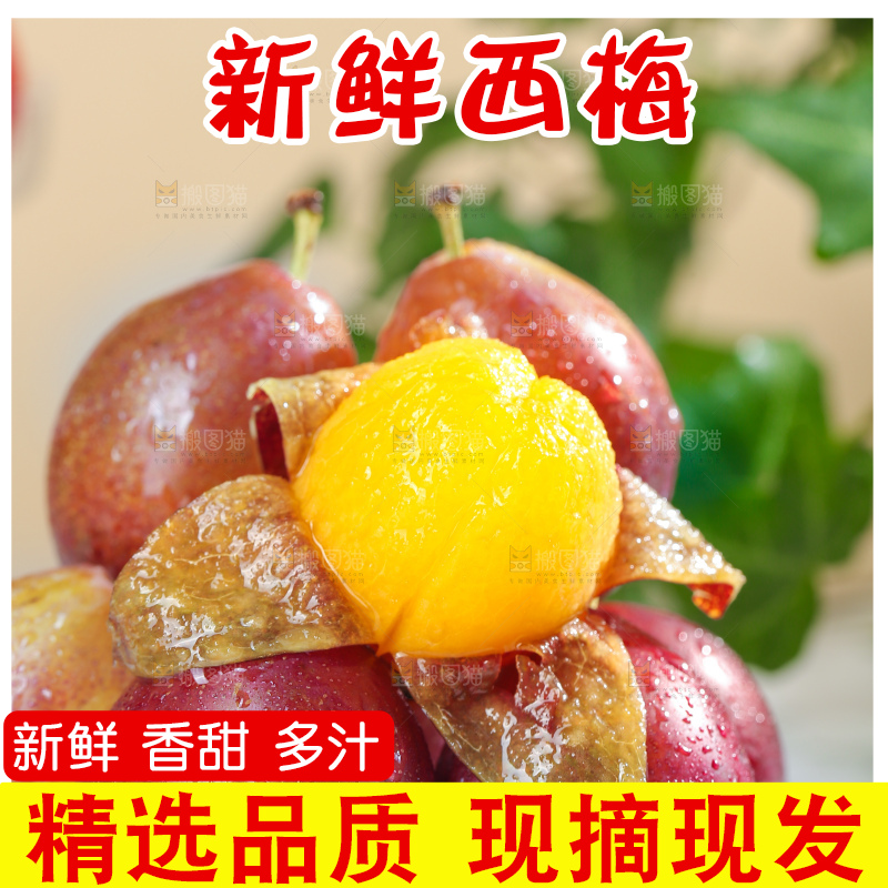 浅底上的澳洲西梅