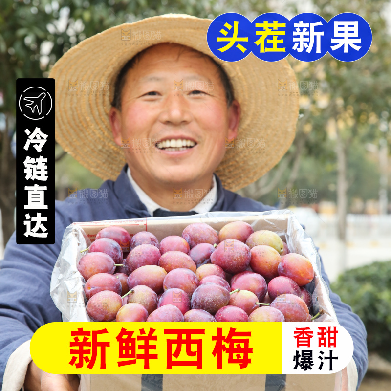 手里拿着澳洲西梅