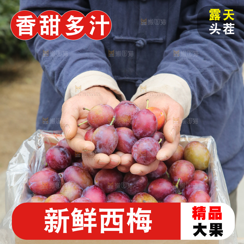 手里拿着澳洲西梅