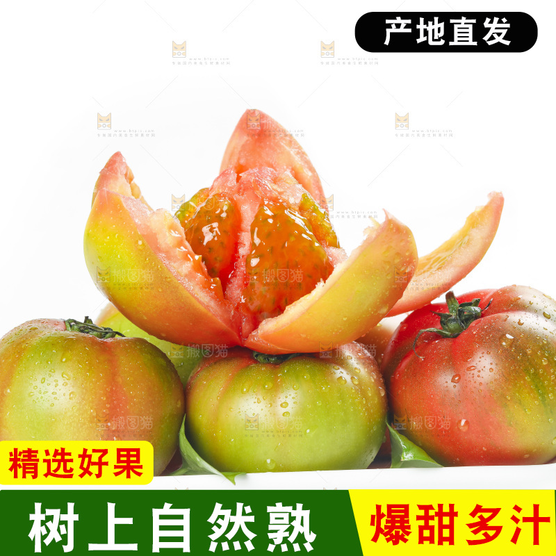 白底上的铁皮西红柿