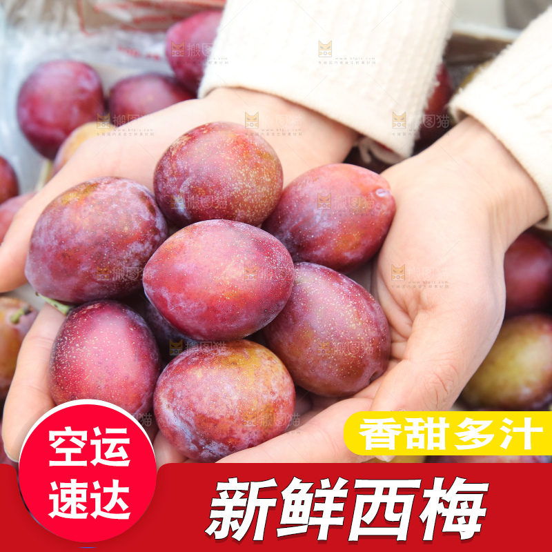 手里拿着澳洲西梅
