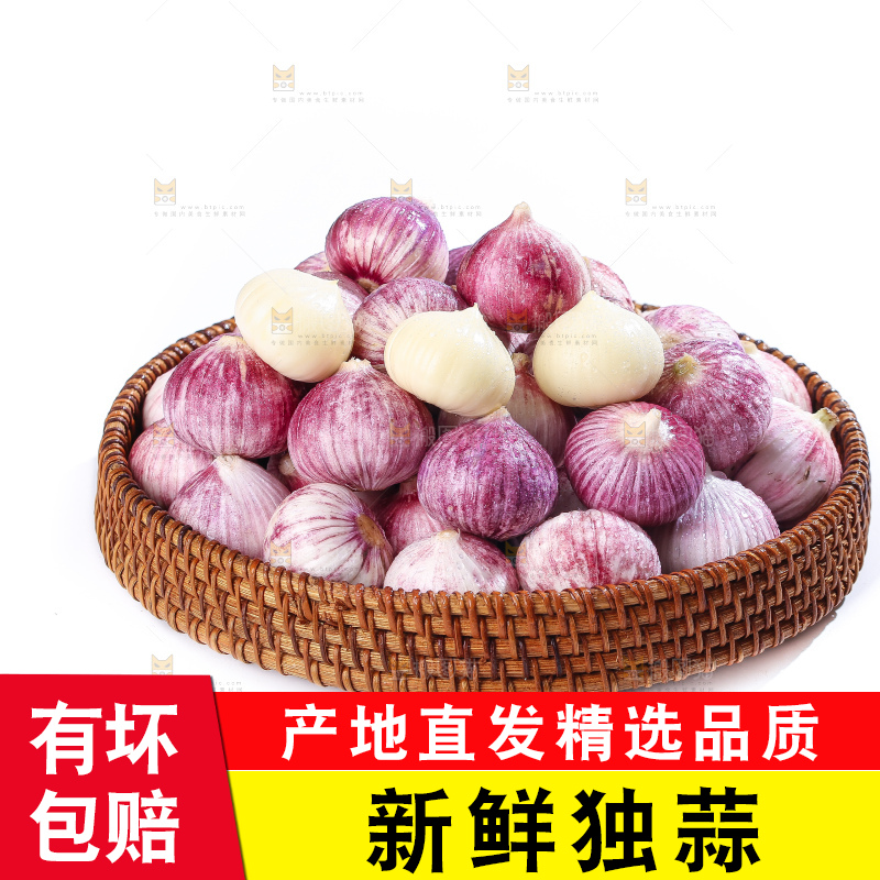 白底上的紫皮独头蒜