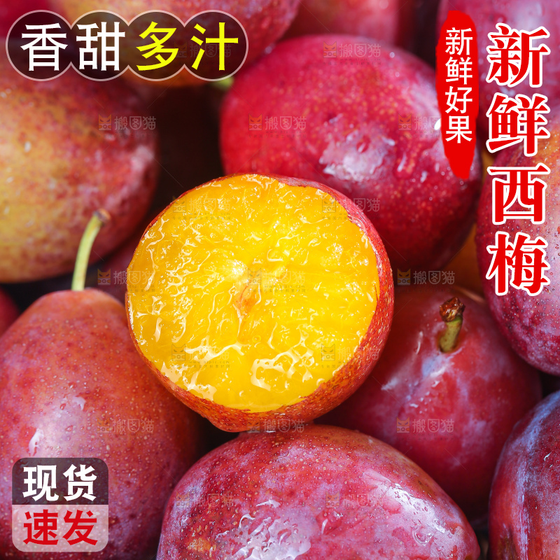 浅底上的澳洲西梅