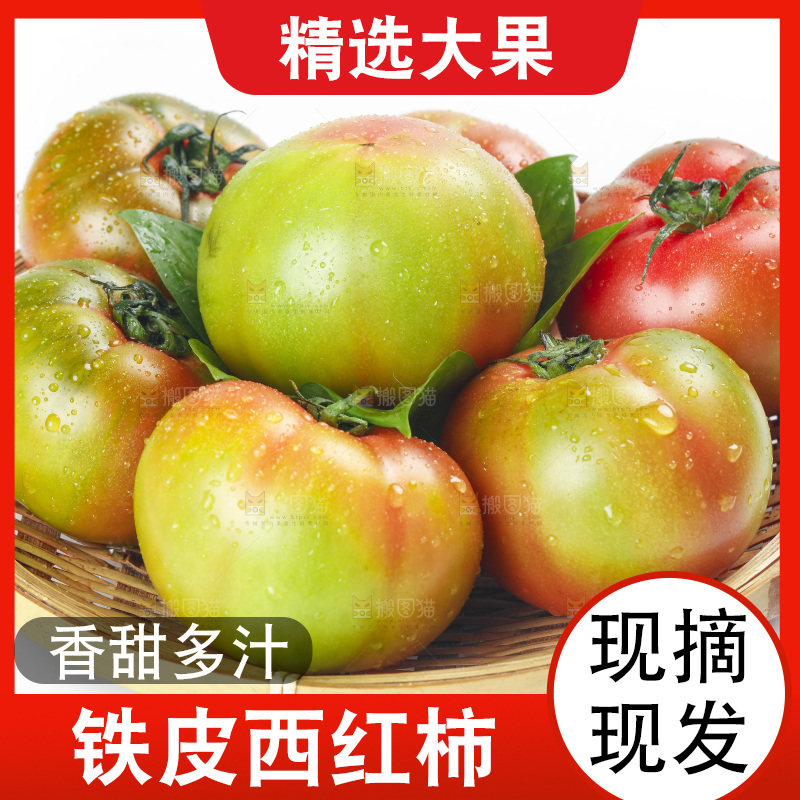 白底上的铁皮西红柿