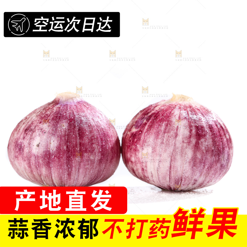 白底上的紫皮独头蒜