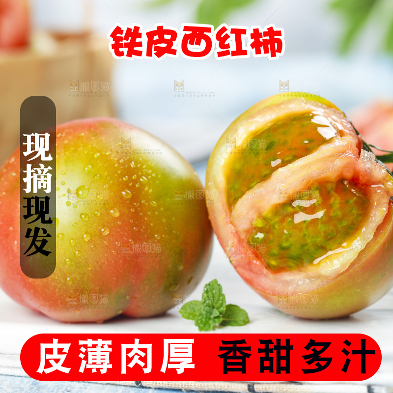 浅底上的铁皮西红柿