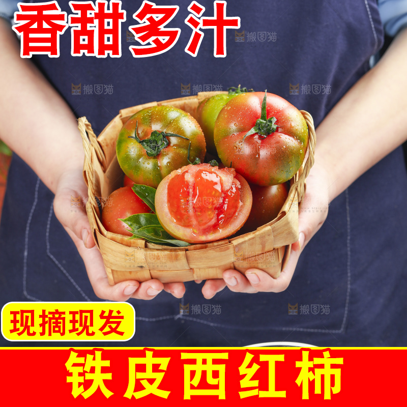 浅底上的铁皮西红柿
