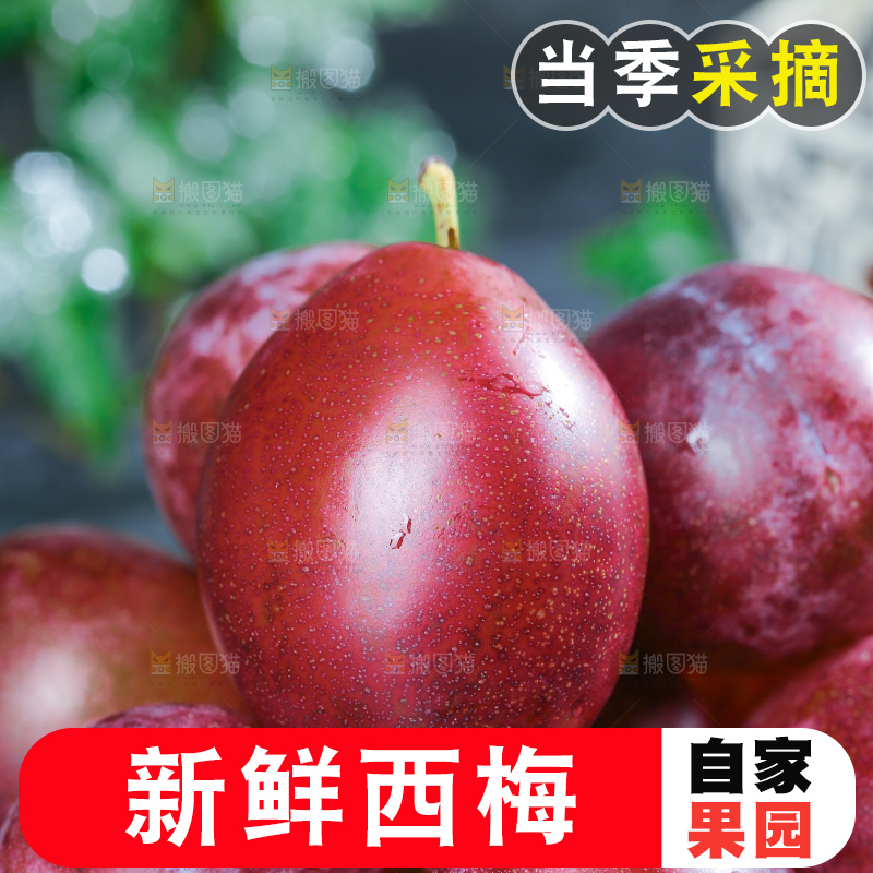 深底上的澳洲西梅