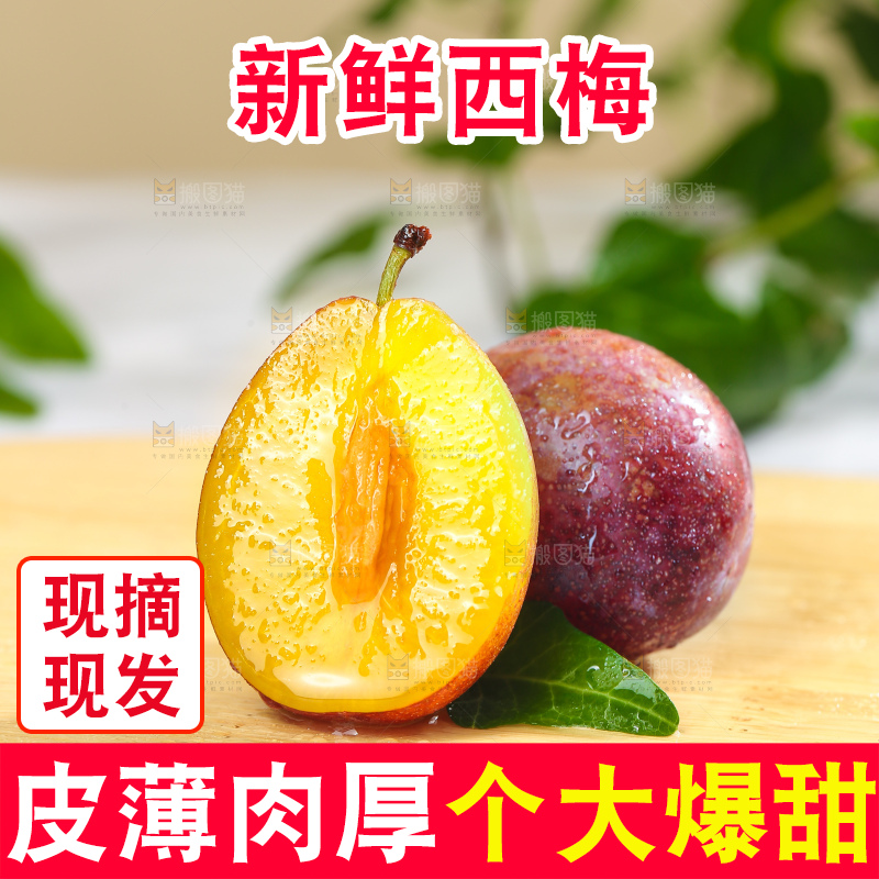 浅底上的澳洲西梅