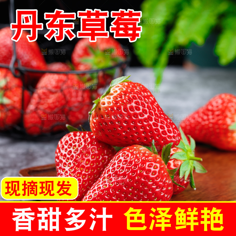 深底上的丹东草莓