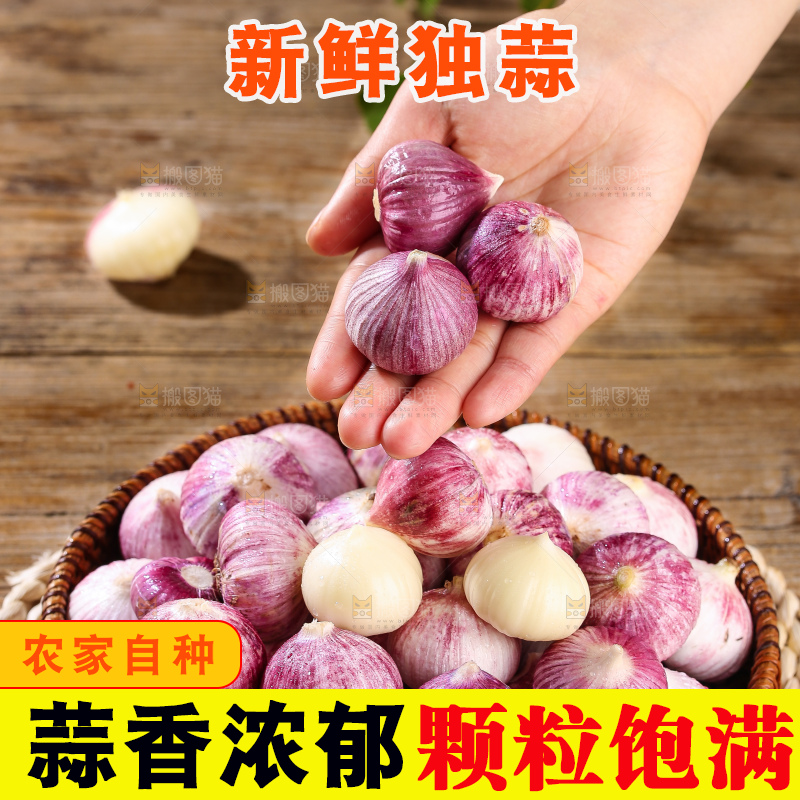 木底上的紫皮独头蒜