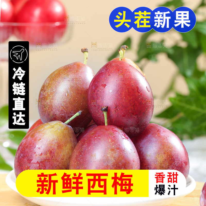 浅底上的澳洲西梅