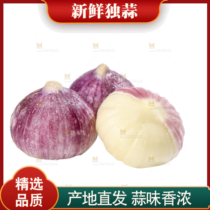 白底上的紫皮独头蒜