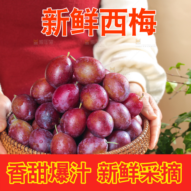 浅底上的澳洲西梅