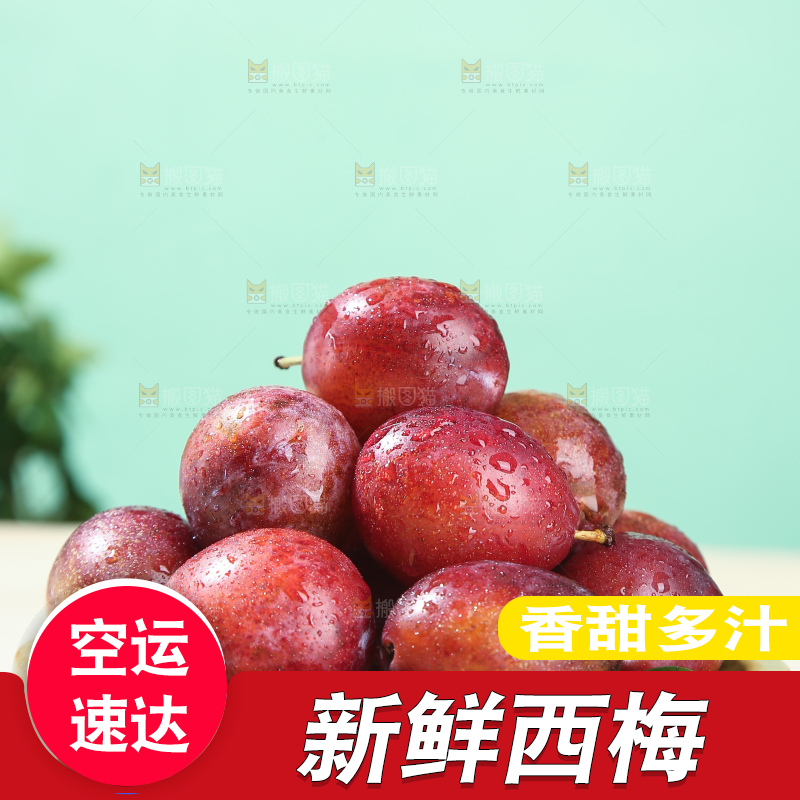 浅底上的澳洲西梅