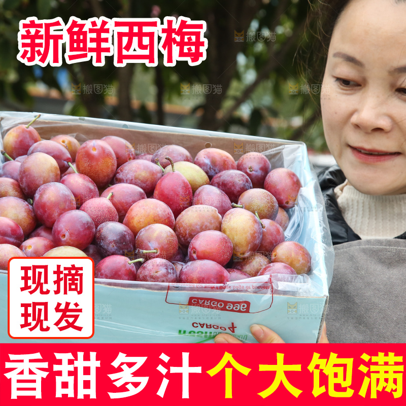 手里拿着澳洲西梅