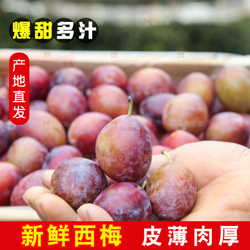 手里拿着澳洲西梅