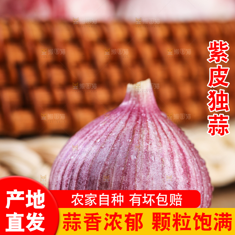 木底上的紫皮独头蒜
