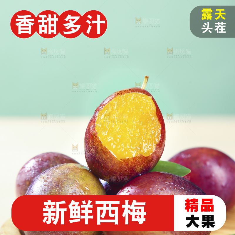 浅底上的澳洲西梅