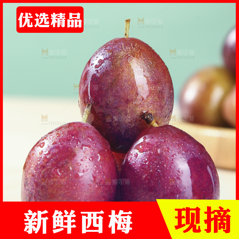 浅底上的澳洲西梅