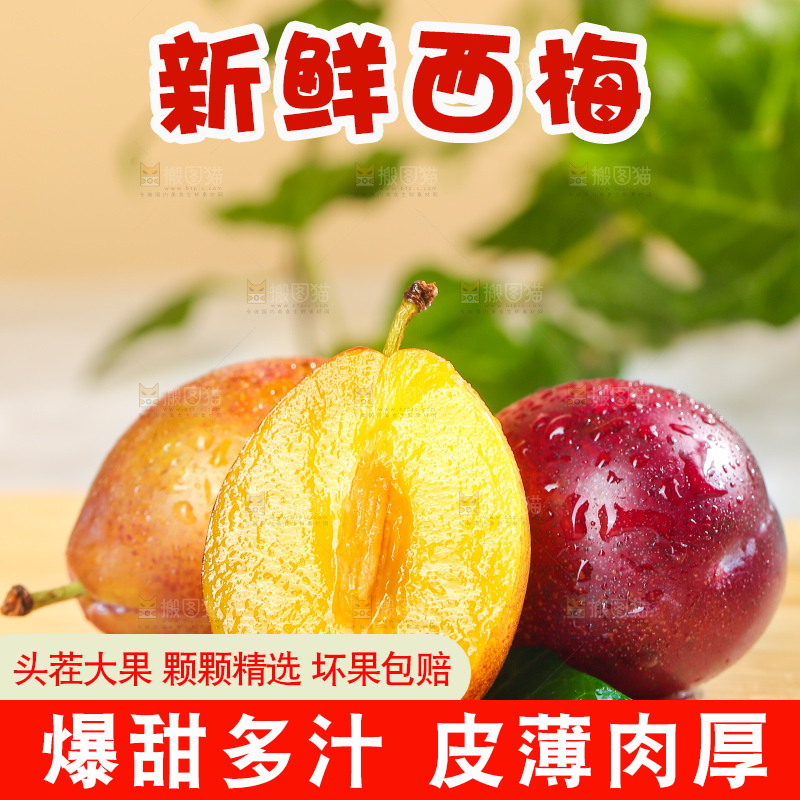 浅底上的澳洲西梅