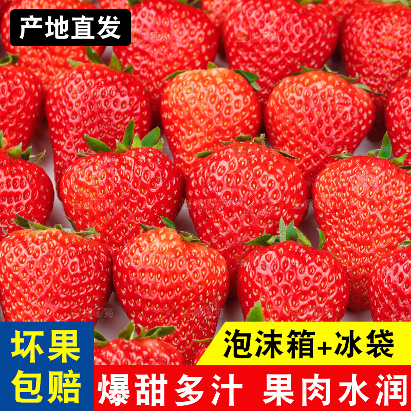 浅底上的丹东草莓