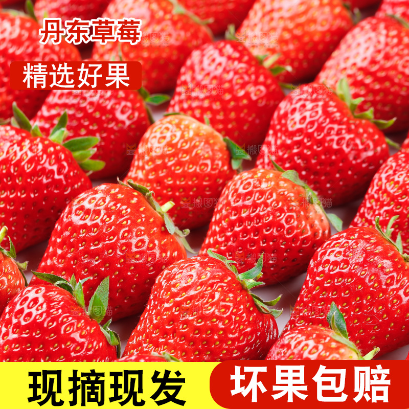 浅底上的丹东草莓