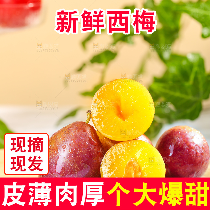 浅底上的澳洲西梅