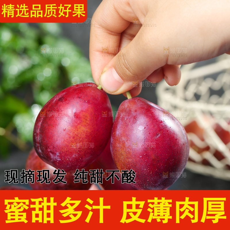 深底上的澳洲西梅