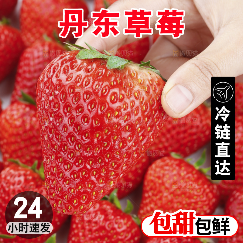 手里拿着丹东草莓