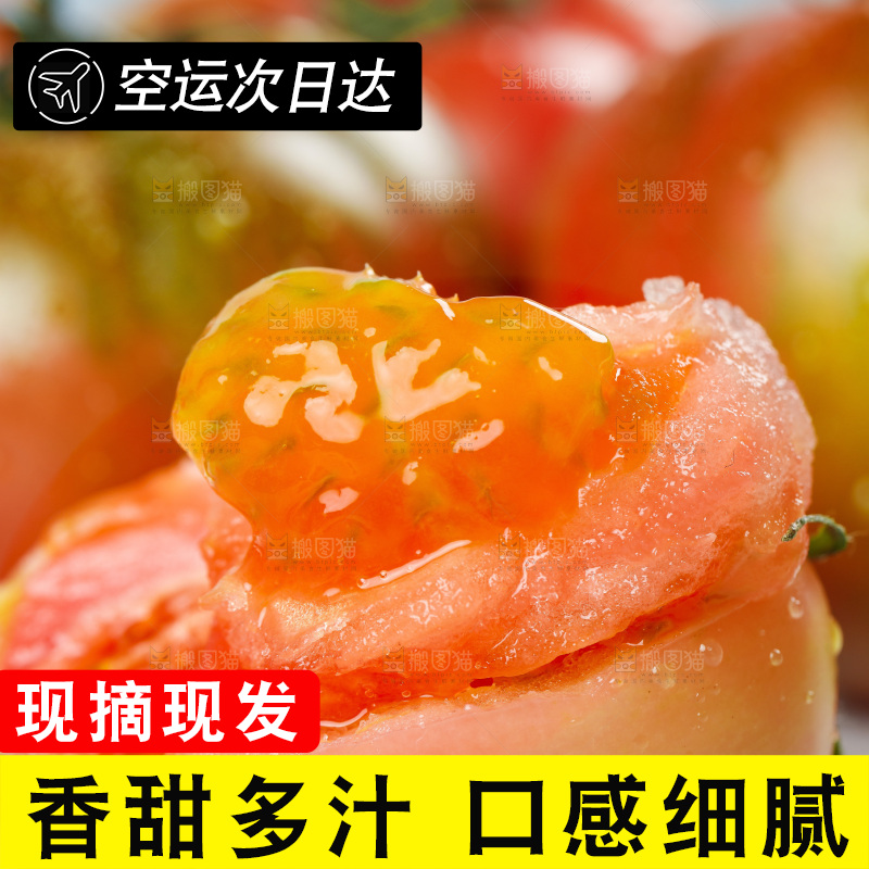 浅底上的铁皮西红柿