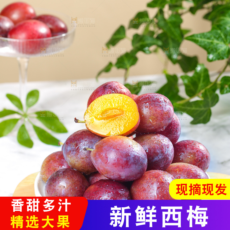 浅底上的澳洲西梅