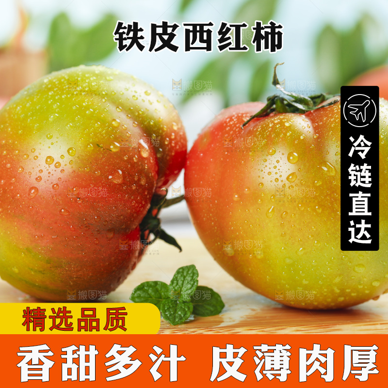 浅底上的铁皮西红柿