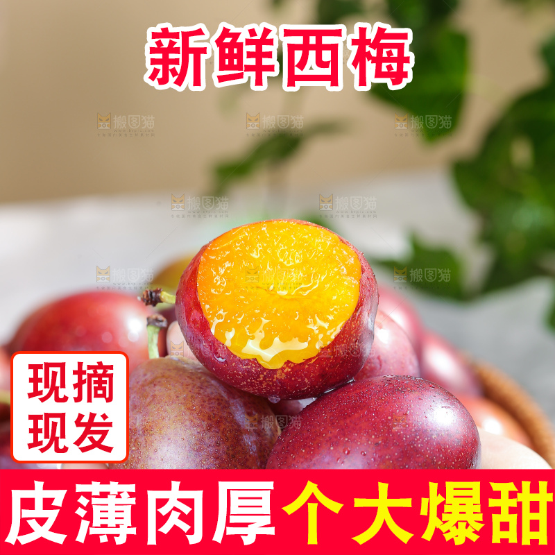 浅底上的澳洲西梅