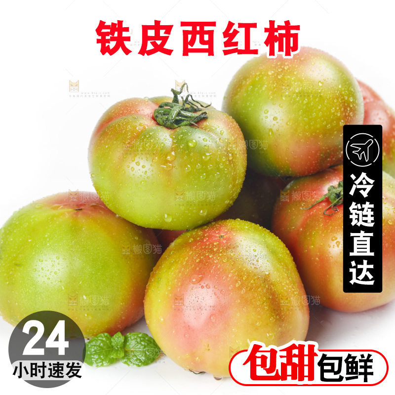 白底上的铁皮西红柿