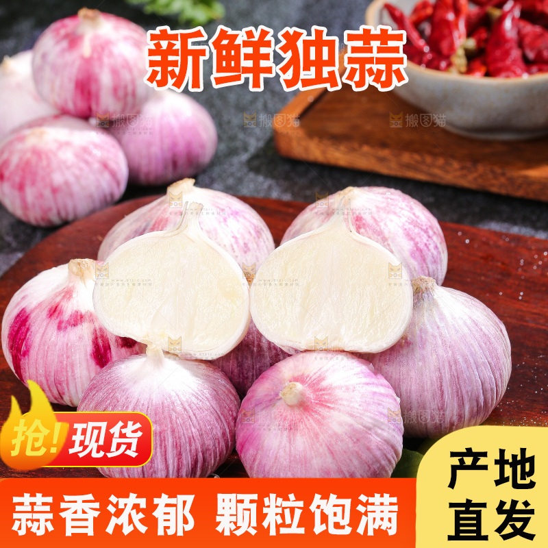 深底上的紫皮独蒜