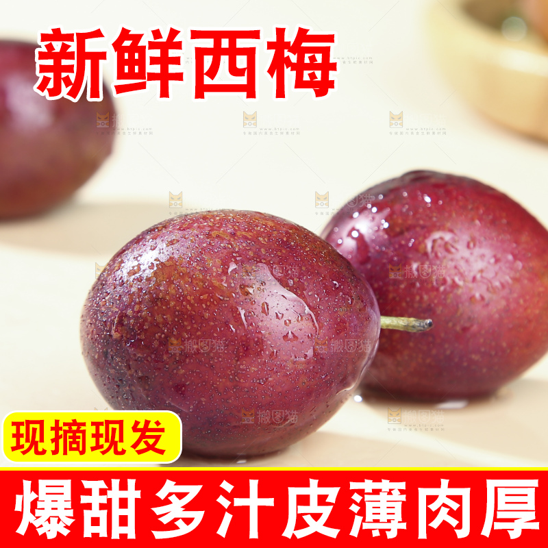 浅底上的澳洲西梅