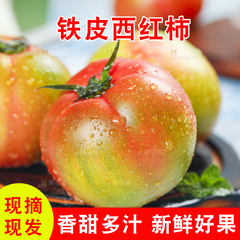 浅底上的铁皮西红柿