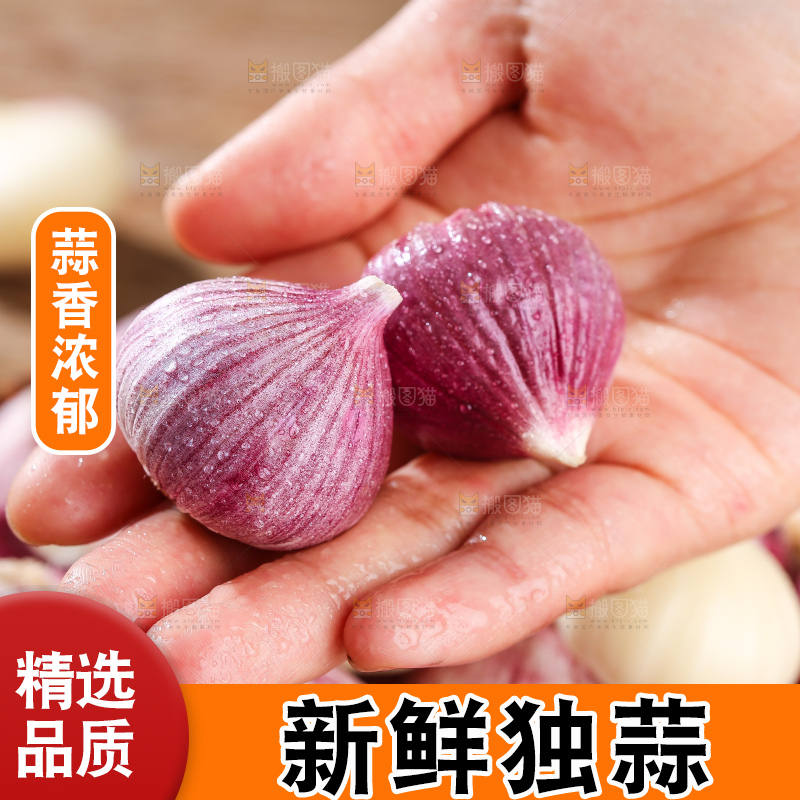 木底上的紫皮独头蒜