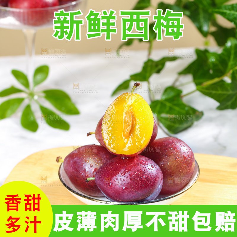 浅底上的澳洲西梅