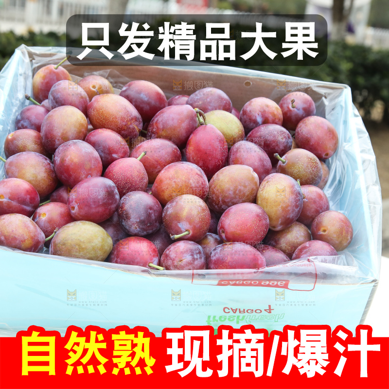 深底上的澳洲西梅