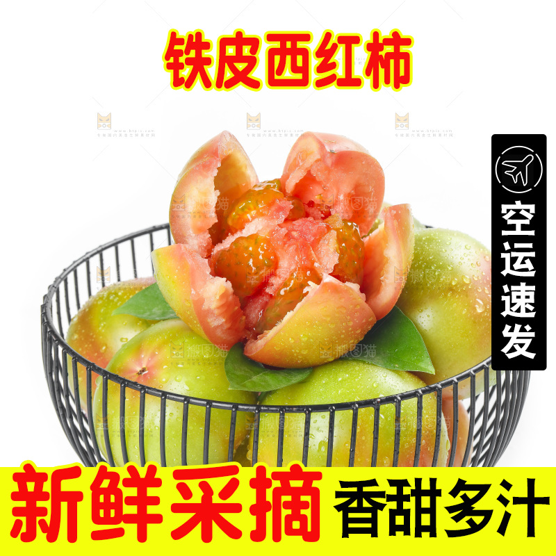 白底上的铁皮西红柿