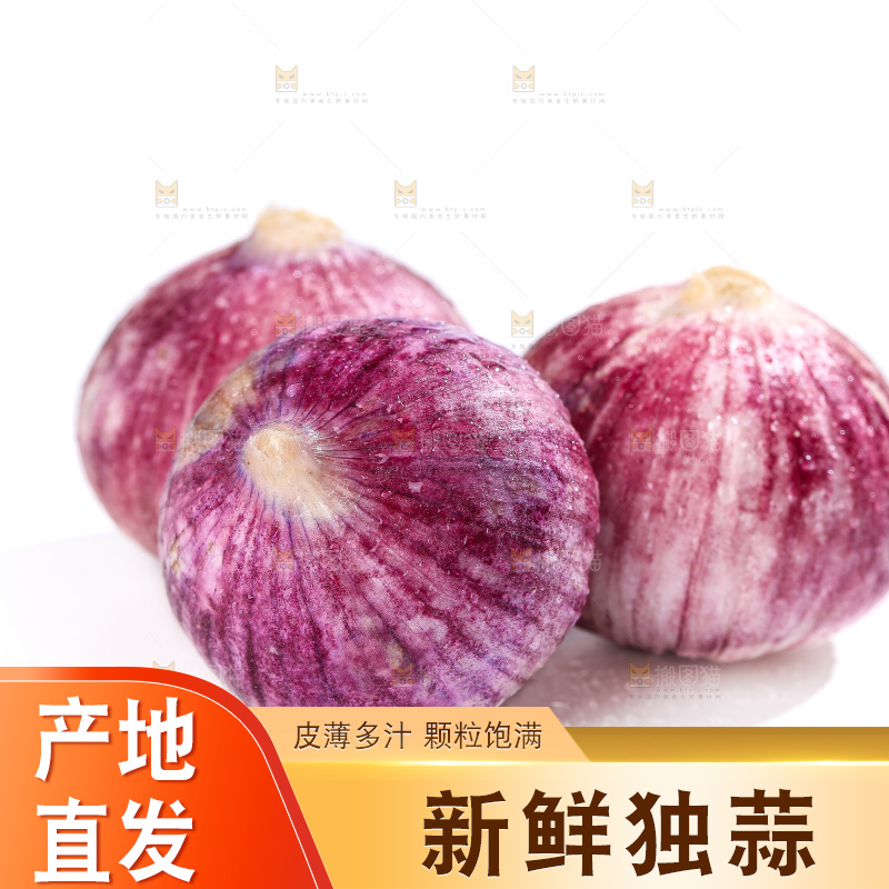 白底上的紫皮独头蒜