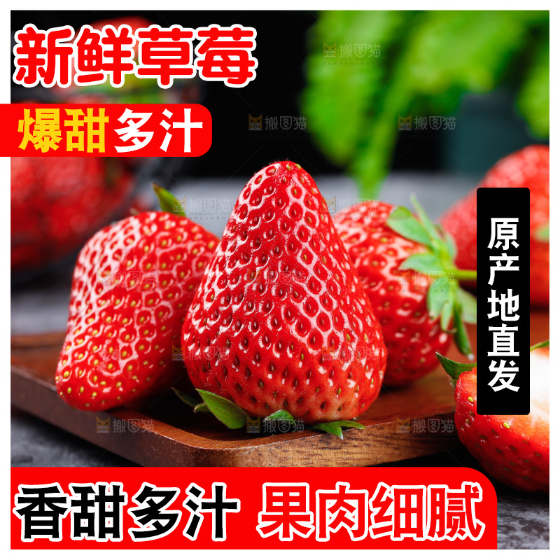 深底上的丹东草莓