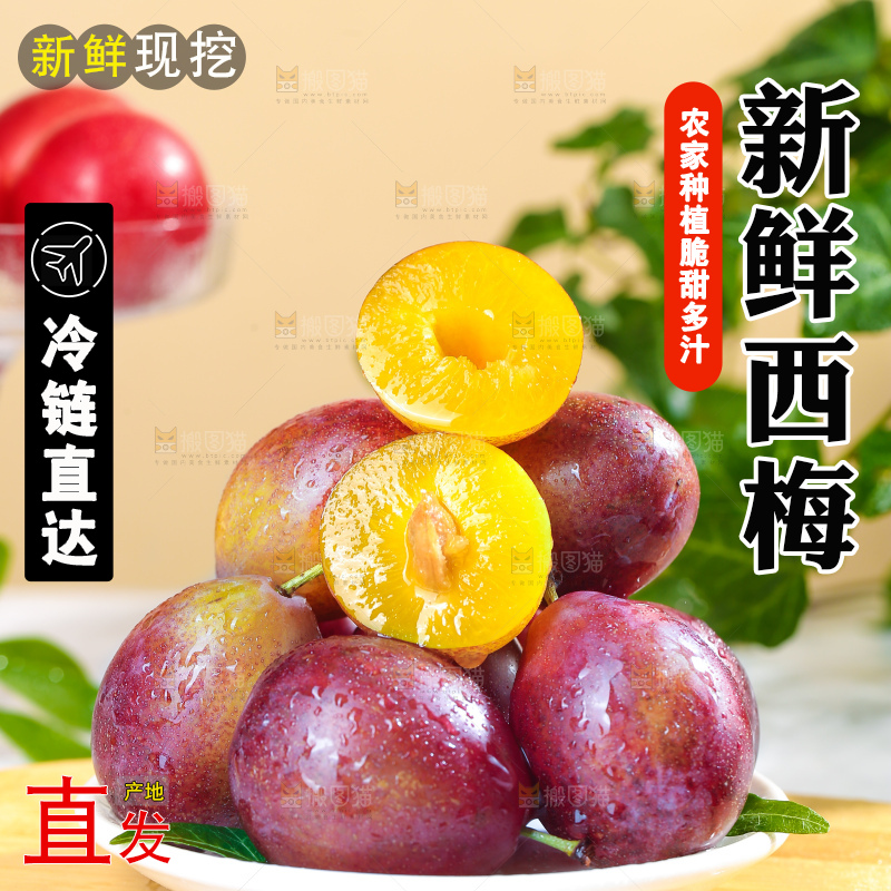 浅底上的澳洲西梅