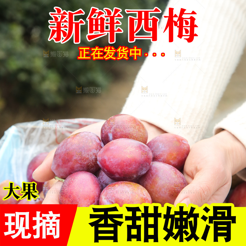 手里拿着澳洲西梅