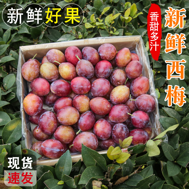 深底上的澳洲西梅