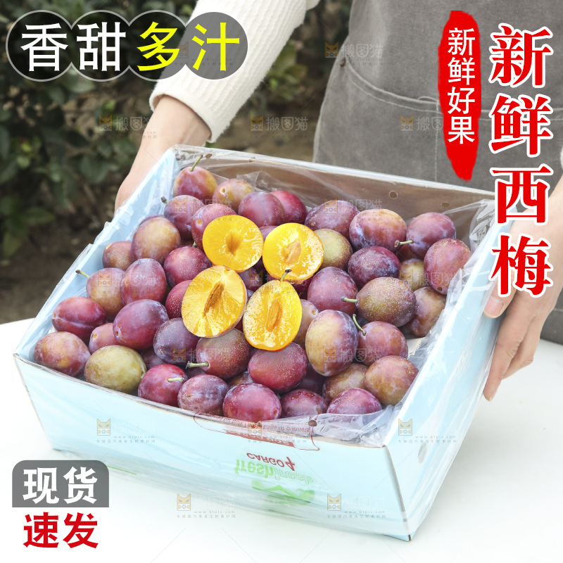 手里拿着澳洲西梅